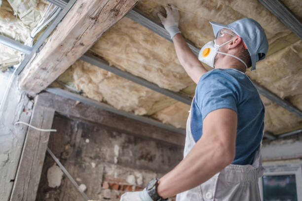 Best Insulation Materials and Products in Hallsville, TX